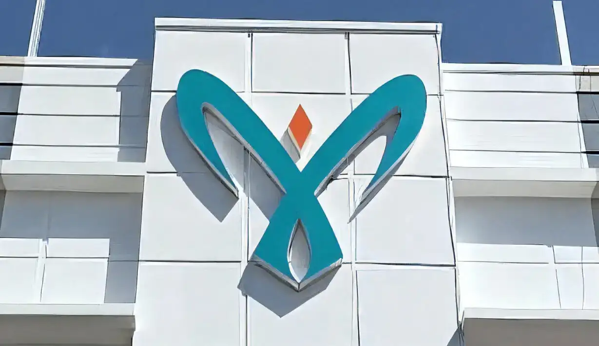 Ringkasan Perusahaan